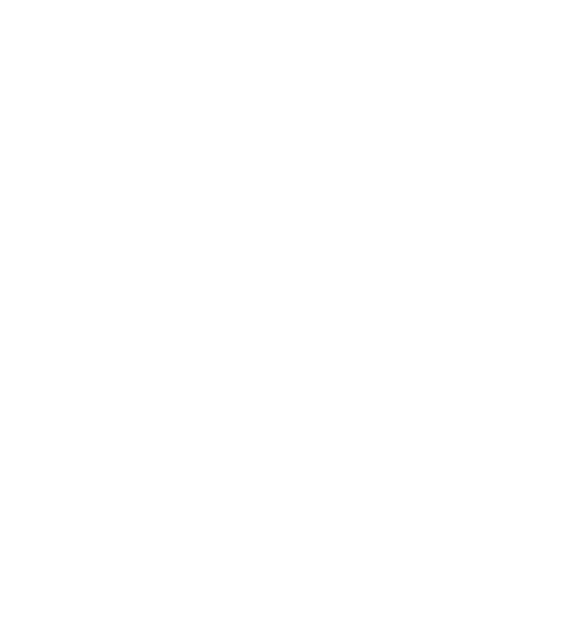 Kinjo LLC emblem representing Shuri Castle — leadership, resilience, and mission stewardship.